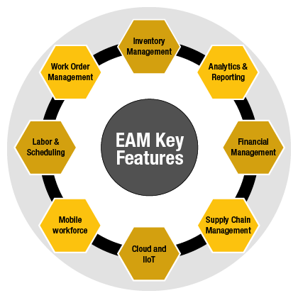 O software EAM inclui características como gestão de peças, ordens de trabalho e programação de mão-de-obra, além de ferramentas empresariais como relatórios, gestão financeira, e integrações de hardware e software.