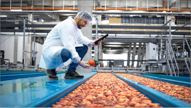 Inspetor de alimentos testa alimentos no tapete rolante durante a auditoria BRCGS